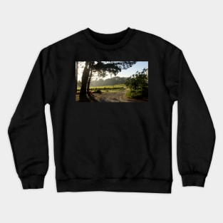 Morning light in the Vineyard - Adelaide Hills / Fleurieu Peninsula - Wine Region  - by Avril Thomas Crewneck Sweatshirt